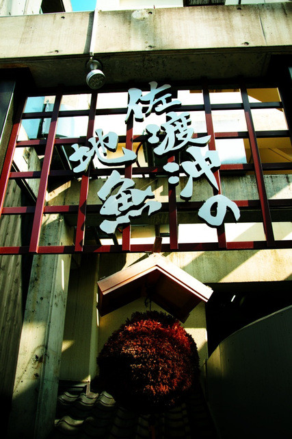 魚猿的实拍高清图