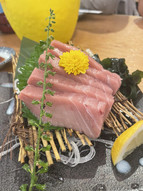 recommendations image for トロ政 新宿店
