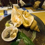 花楽的實拍圖