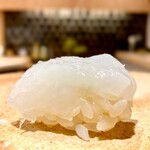 recommendations for 鮨 富かわ