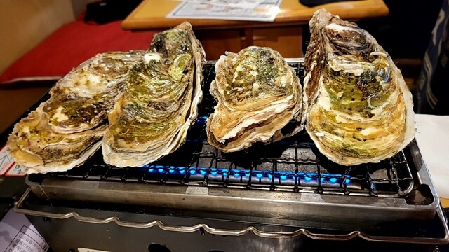 北海道さかな一途 直営魚問屋的實拍高清圖