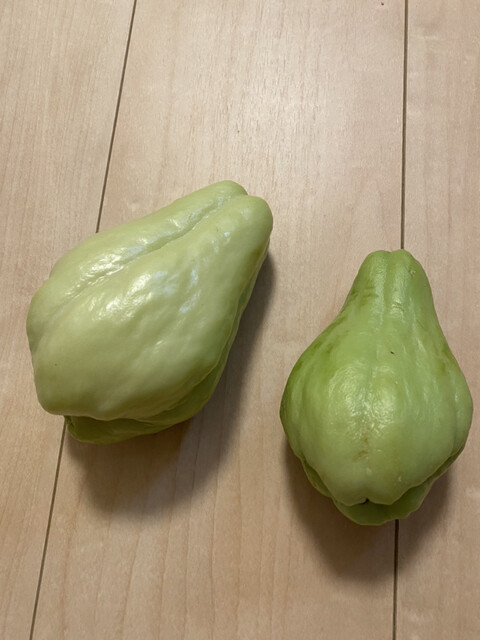武蔵小山温泉 清水湯的實拍高清圖