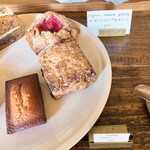 recommendations for Camphora