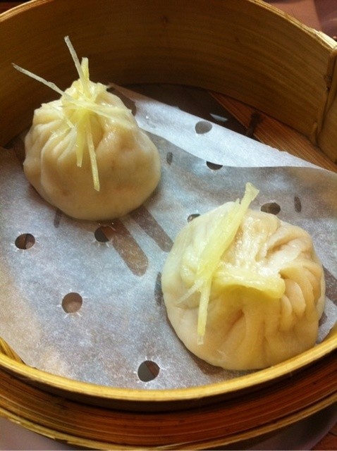 美龍的实拍高清图