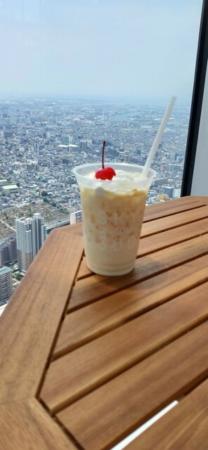 SKY GARDEN 300的實拍高清圖