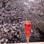 recommendations for テッパン ニキ