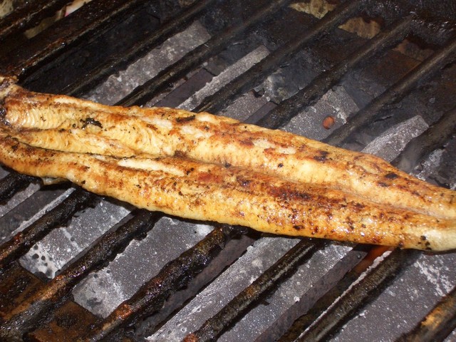 recommendations image for 原田うなぎ屋