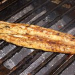 recommendations for 原田うなぎ屋