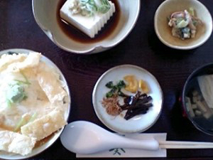 嵐山豆腐葵的實拍圖