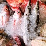 魚・串料理 つぼみ 一番街店的實拍圖
