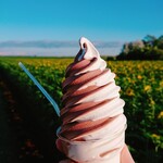 recommendations for 赤い屋根のソフトクリーム屋