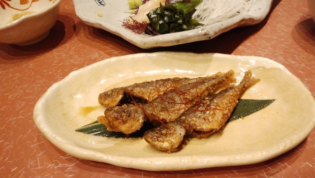 すし・旬彩　鷹の羽 上野2号店的實拍高清圖