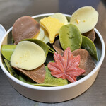 recommendations for shodai bio nature NEWoMan新宿店
