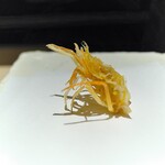 recommendations for 天若
