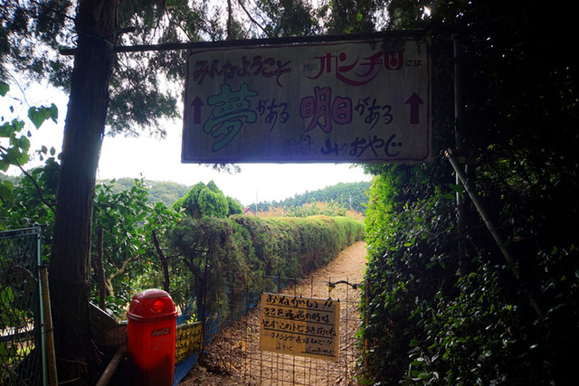 城山オレンヂ園的實拍高清圖