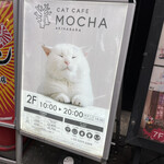 猫カフェMOCHA 秋葉原店的實拍圖