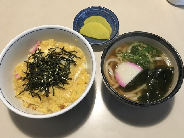 ときわ的实拍高清图