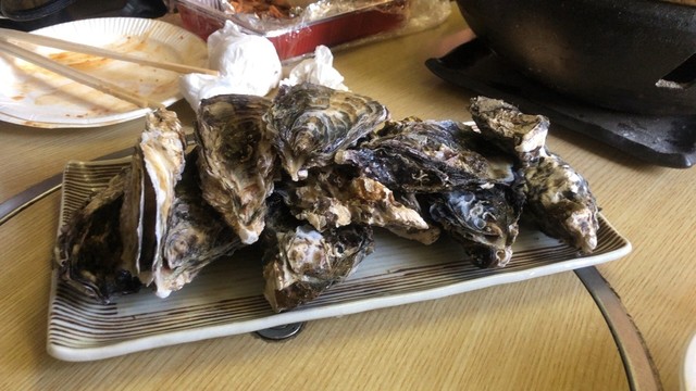 田吾作的实拍高清图