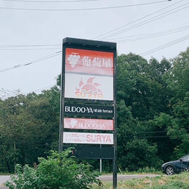 レストラン葡萄屋的实拍高清图