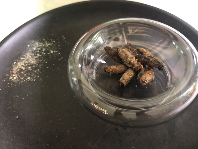 爬虫類バー ゴルゴーン的實拍高清圖