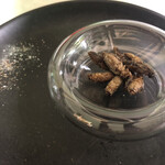 爬虫類バー ゴルゴーン的實拍圖