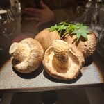 recommendations for NUAGE ET VENT
