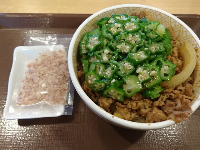 すき家 福知山東野パーク店的实拍高清图