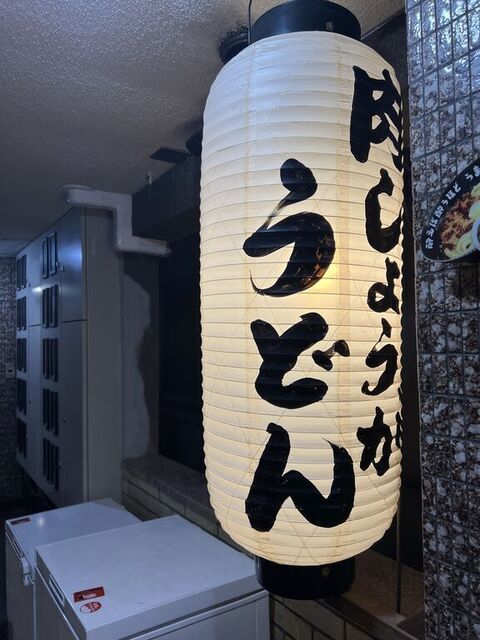 肉しょうがうどん Taiyo的实拍高清图