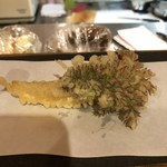 recommendations for 天麩羅 松光庵