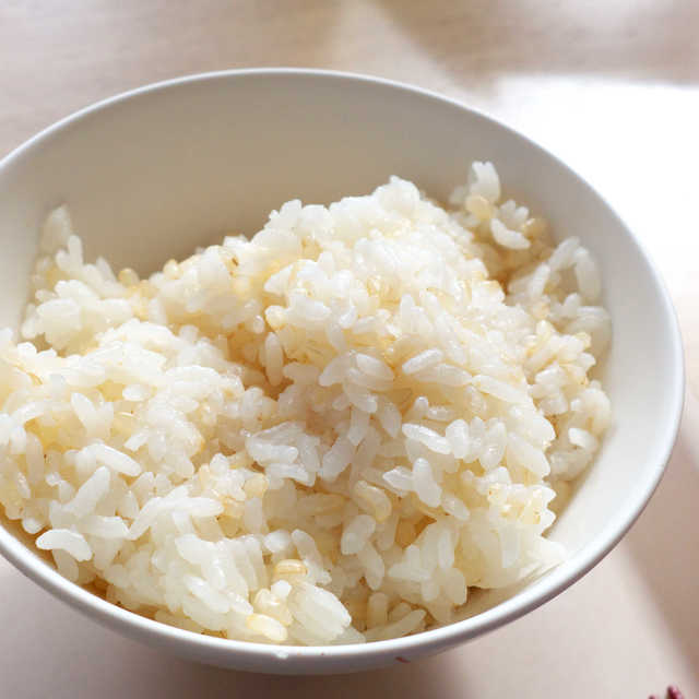 立命館大学 諒友館食堂的實拍高清圖