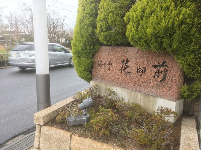 海花亭 花御前的实拍高清图