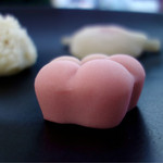 recommendations for 紫野源水