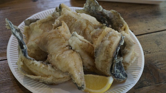 辻野養魚場的實拍高清圖