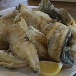 辻野養魚場的實拍圖