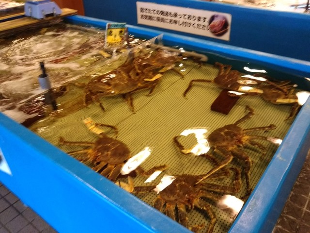 佐藤水産 市場店的實拍高清圖