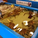 佐藤水産 市場店的實拍圖