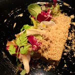 シェルポ的實拍圖