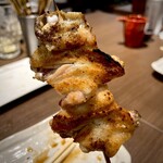 あほう鳥的實拍圖