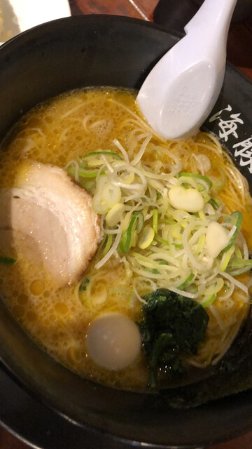 西新 海豚や的实拍高清图