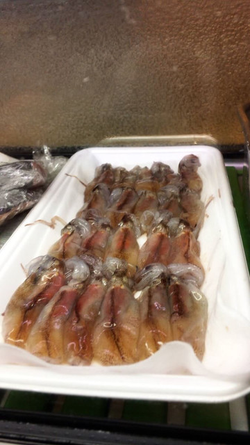 にしきの千松的實拍高清圖