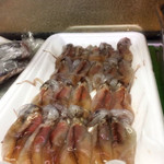 にしきの千松的實拍圖