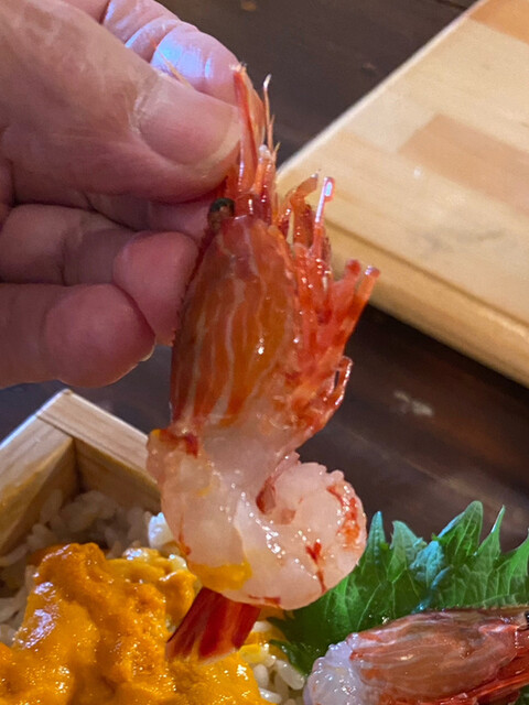田村 岩太郎商店的實拍高清圖