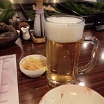 たぬき的實拍圖