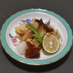 菜の介的实拍图