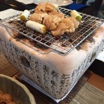 かとう的实拍图