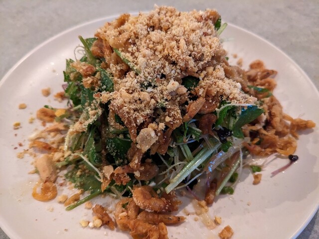 小梟的实拍高清图