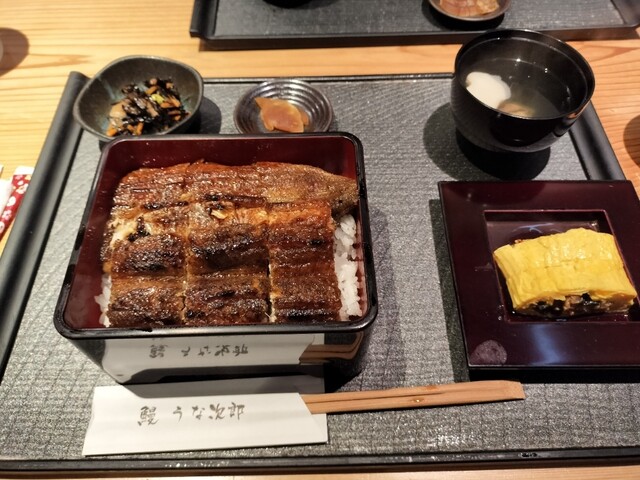 うな次郎的实拍高清图