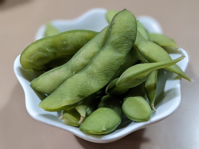 サロマ湖とばろう村的实拍高清图