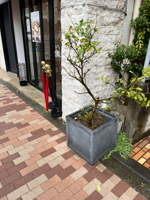 recommendations image for 銀座 緑花堂 自由が丘店