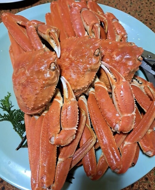 海月楼的实拍高清图